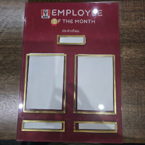 Display 95