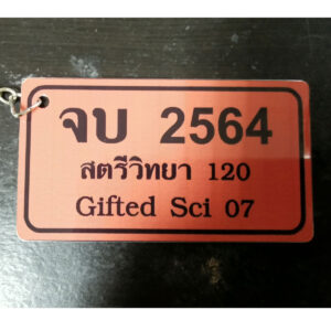 Premium 01